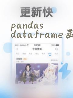 pandas dataframe函数