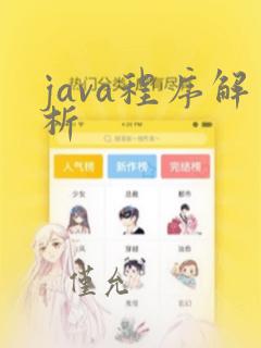 java程序解析