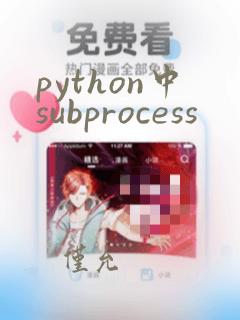 python中subprocess