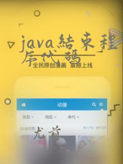 java结束程序代码