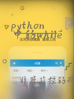 python 中的while