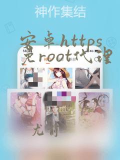安卓https免root代理