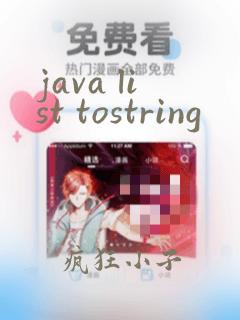 java list tostring