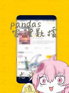 pandas 处理数据
