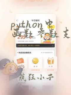 python中函数参数支持的类型有