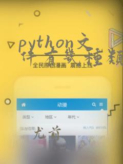 python文件有几种类型