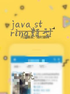 java string类型