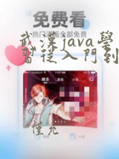 武汉java学习从入门到精通