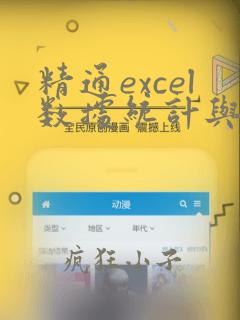 精通excel数据统计与分析 pdf