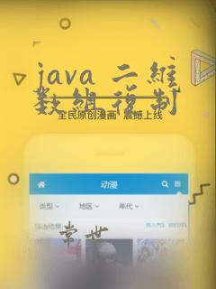 java 二维数组复制
