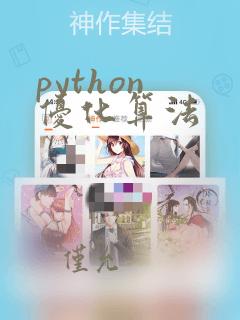 python 优化算法