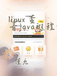 linux 查看java进程命令