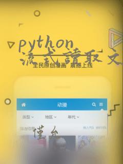 python 流式读取文件