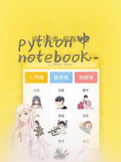 python中notebook