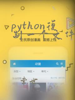python复制一个文件