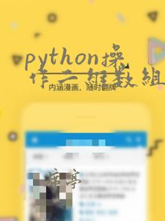 python操作二维数组