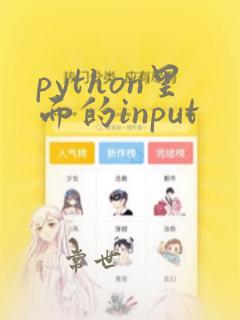 python里面的input