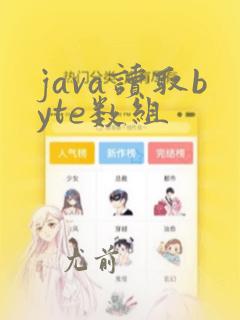 java读取byte数组