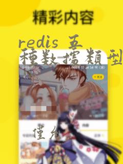 redis 五种数据类型