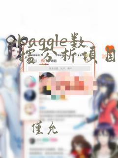 kaggle数据分析项目