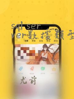 sql server数据类型转换