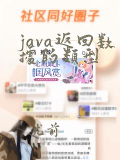 java返回数据的类型