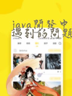 java开发中遇到的问题及解决方案面试