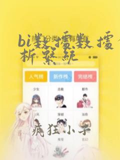 bi数据数据分析系统