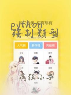 python 强制类型