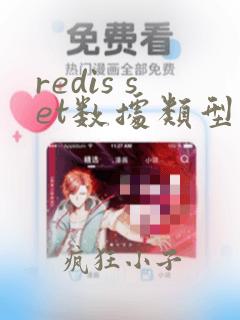 redis set数据类型