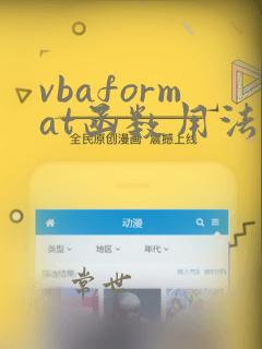 vbaformat函数用法