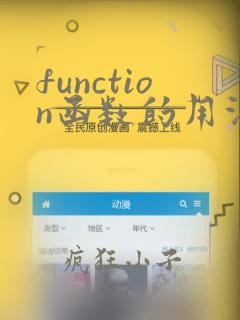 function函数的用法python