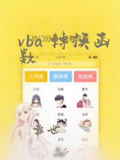 vba 转换函数