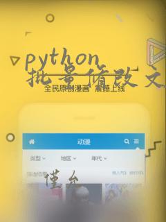 python 批量修改文件名称