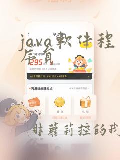 java软件程序员