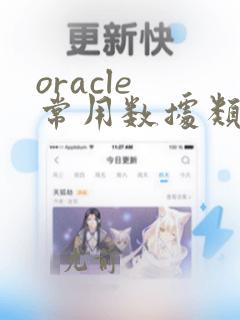 oracle 常用数据类型