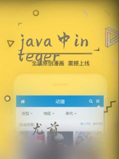 java中integer