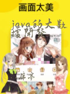 java的大数据开发
