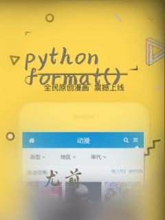 python format()