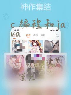 c 编程和java