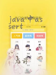 java中assert