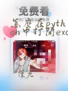 怎么在python中打开excel