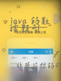java 的数据类型