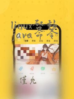 linux启动java命令