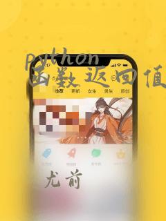 python 函数返回值类型