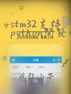stm32支持python开发吗