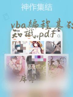 vba编程基础知识.pdf