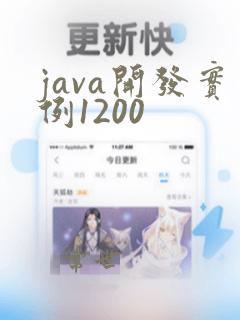 java开发实例1200