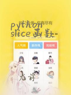 python slice函数