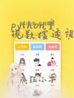 python实现数据透视表